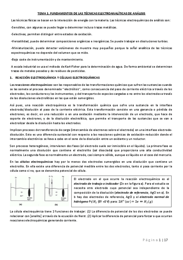 Miniatura del documento 1.pdf