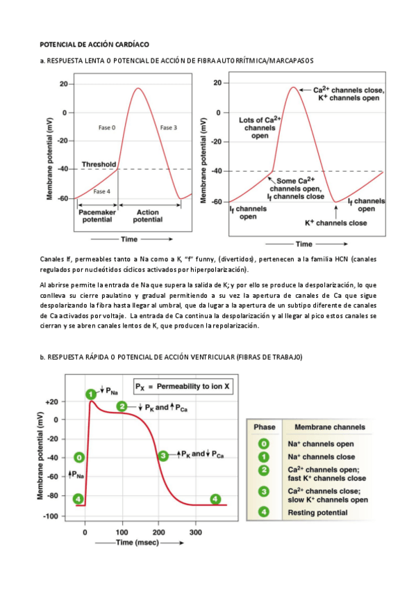 Miniatura del documento Tema-2.pdf