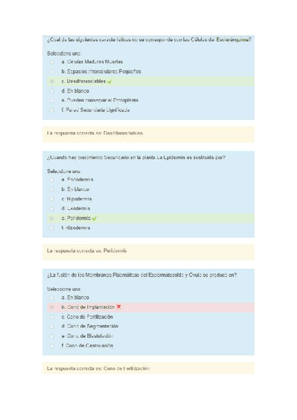 Miniatura del documento Segundo-Parcial-2021.pdf