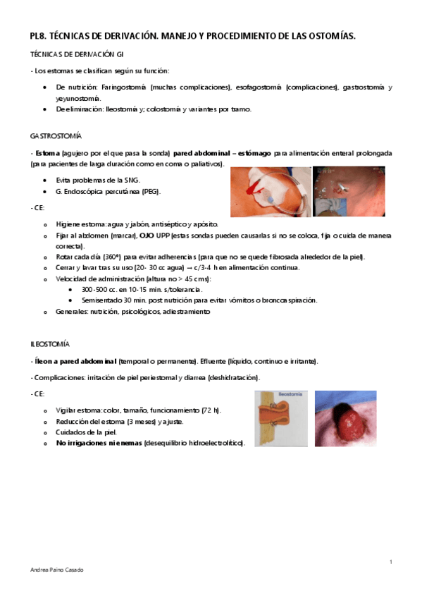 Miniatura del documento PL8.pdf