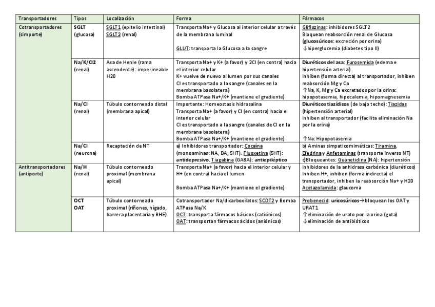 Miniatura del documento TABLA-TRANSPORTADORES.pdf