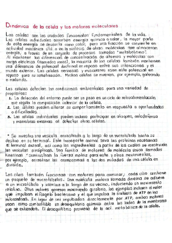 Miniatura del documento 3.pdf