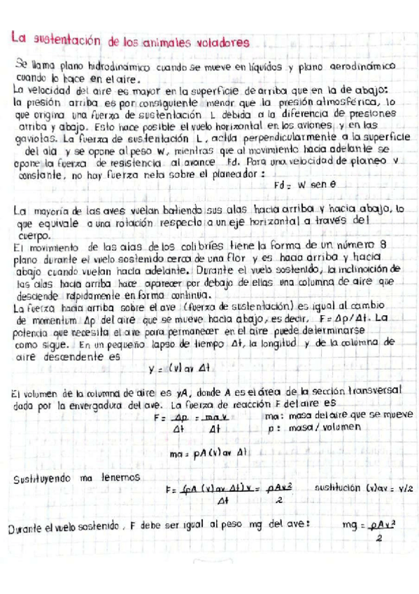 Miniatura del documento Sustentacion-de-los-animales-voladores.pdf