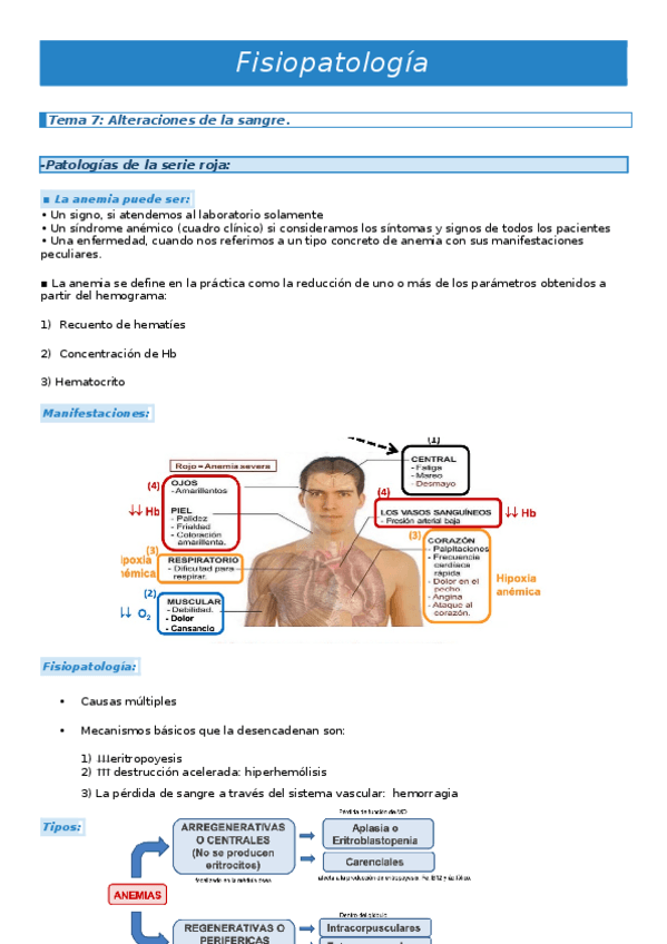 Miniatura del documento Fisiopatologia-tema-7.docx