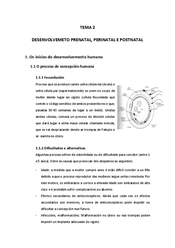 Miniatura del documento Tema-2.pdf