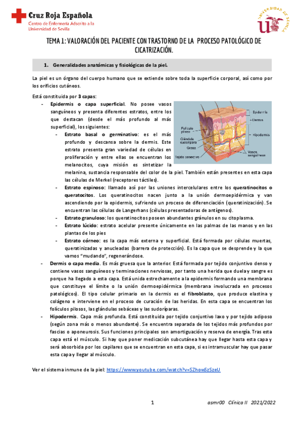 Miniatura del documento Tema-1.pdf