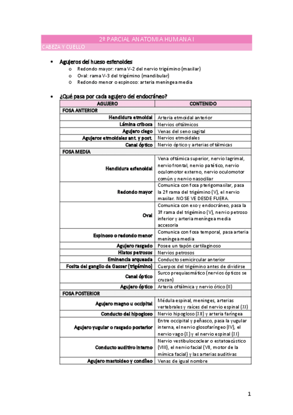 Miniatura del documento PREGUNTAS-CABEZA-Y-CUELLO.pdf