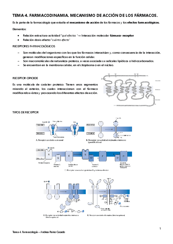 Miniatura del documento TEMA-4.pdf
