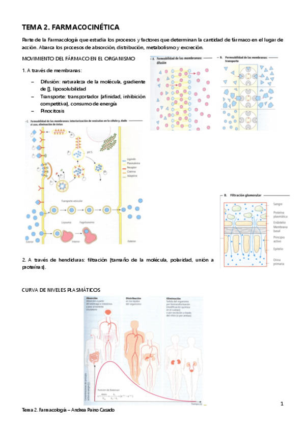 Miniatura del documento TEMA-2.pdf