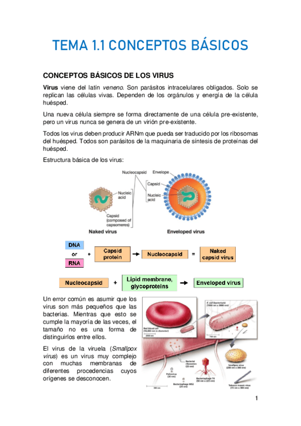 Miniatura del documento TEMA-1.pdf