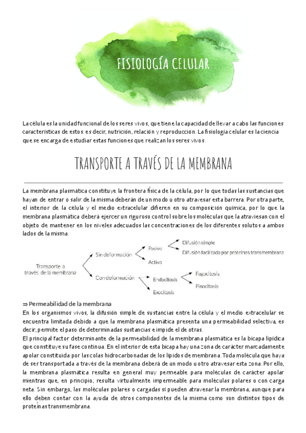 Miniatura del documento T5.pdf