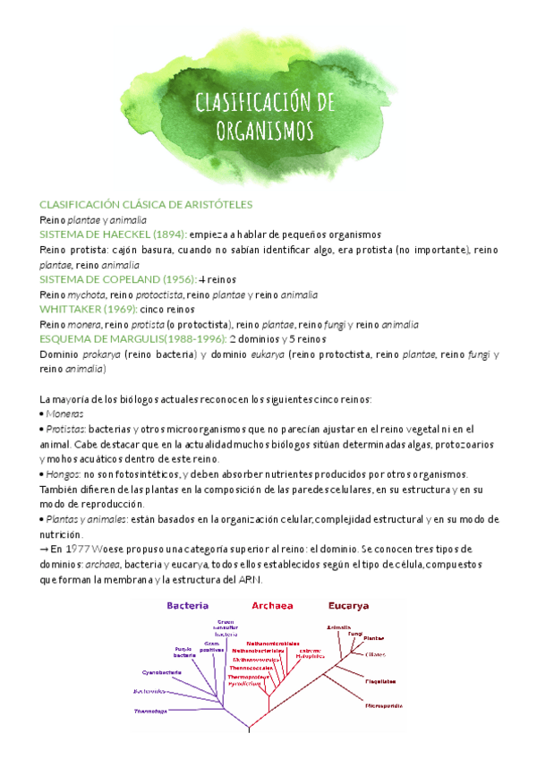 Miniatura del documento T7.pdf