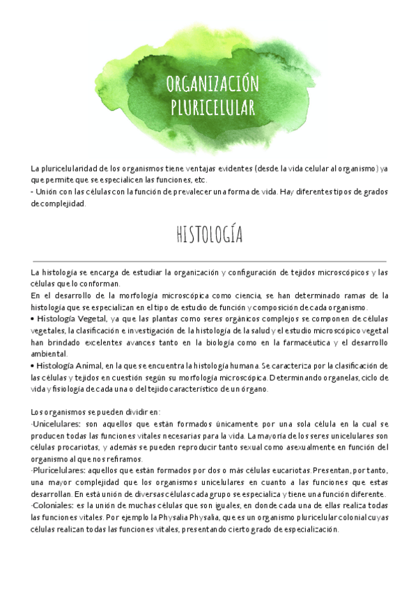 Miniatura del documento T6.pdf