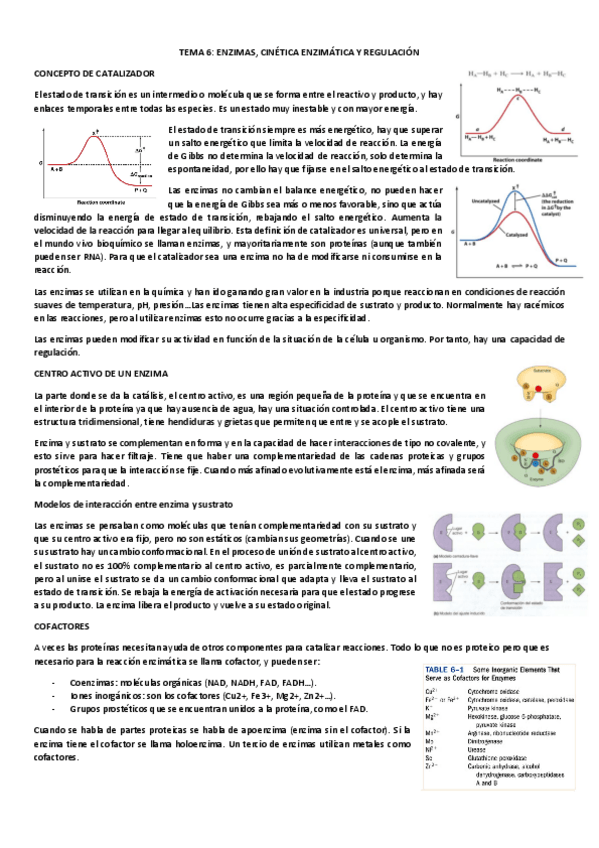 Miniatura del documento T6-Enzimas-y-cinetica-enzimatica.pdf