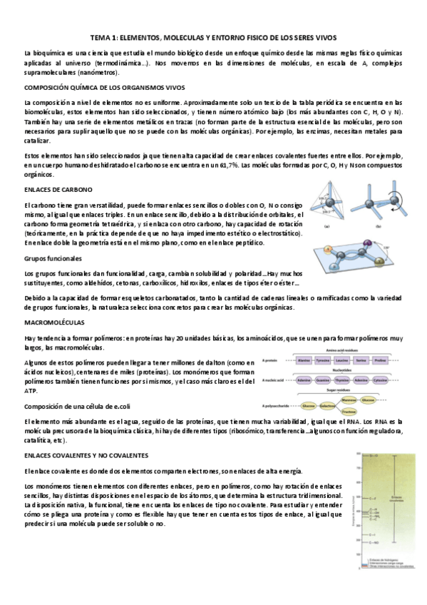 Miniatura del documento T1-Elementos-moleculas-y-entorno-fisico-de-los-seres-vivos.pdf