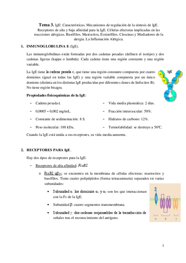 Miniatura del documento Tema-3.pdf