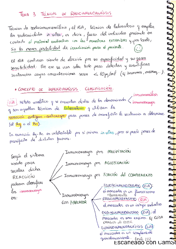 Miniatura del documento RIA.pdf