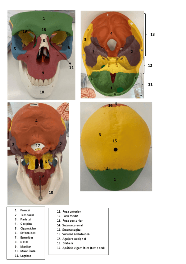 Miniatura del documento Localizacion-estructuras.pdf