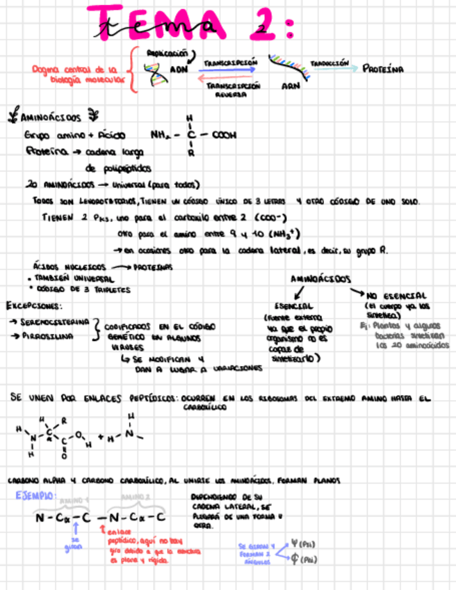 Miniatura del documento Bioquimica-Estructural-biomoleculas.pdf