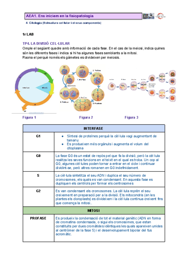 Miniatura del documento TP4.pdf