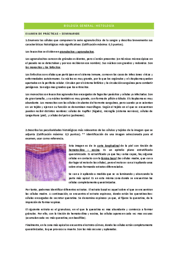 Miniatura del documento Histologia-examen-de-practicas-2021.pdf