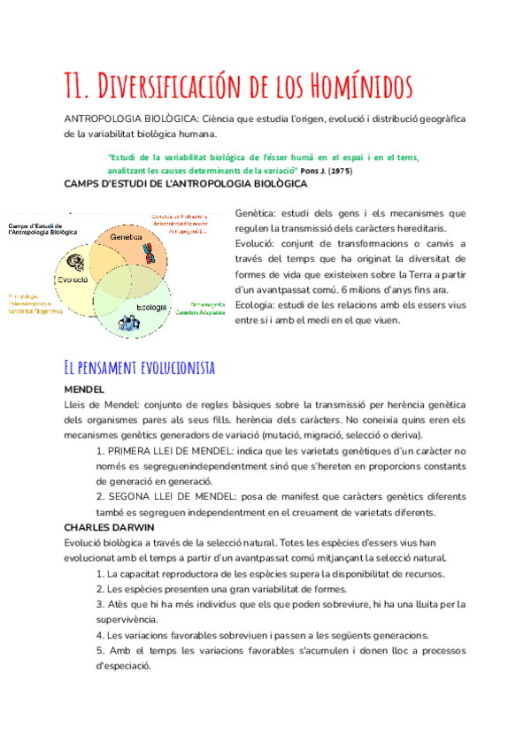 Miniatura del documento T1-Diversificacion-de-los-Hominidos.pdf
