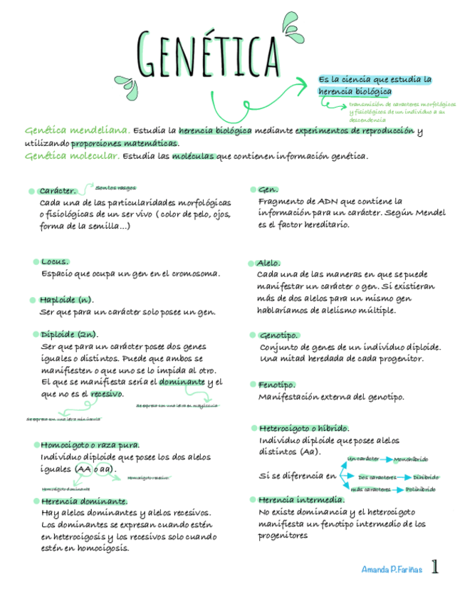 Miniatura del documento Genetica-.pdf