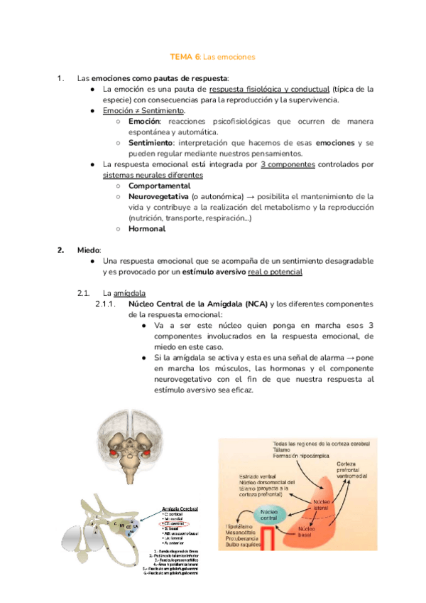 Miniatura del documento TEMA-6-fisio.pdf