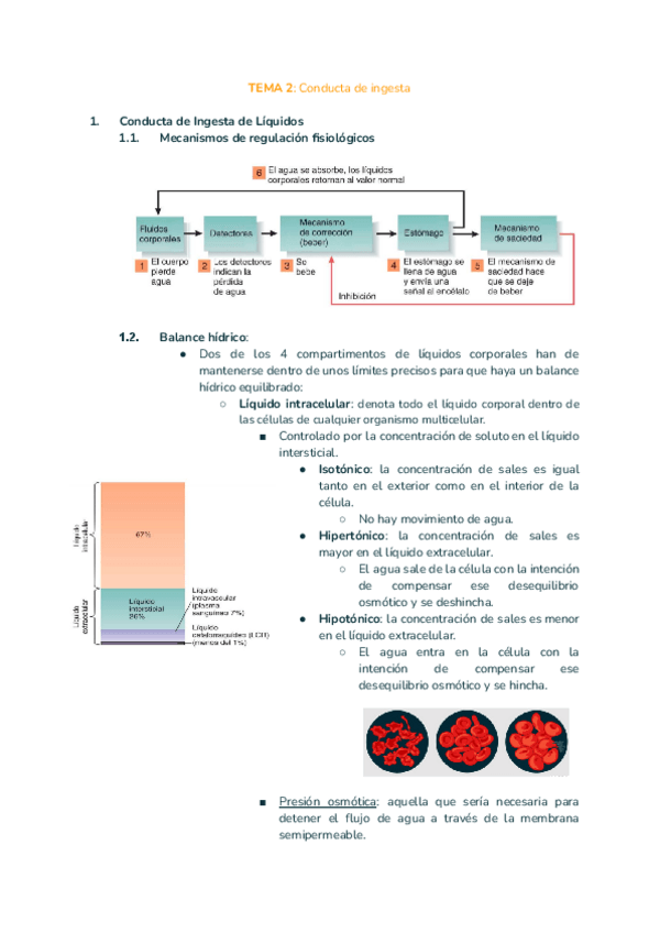 Miniatura del documento TEMA-2-fisio.pdf