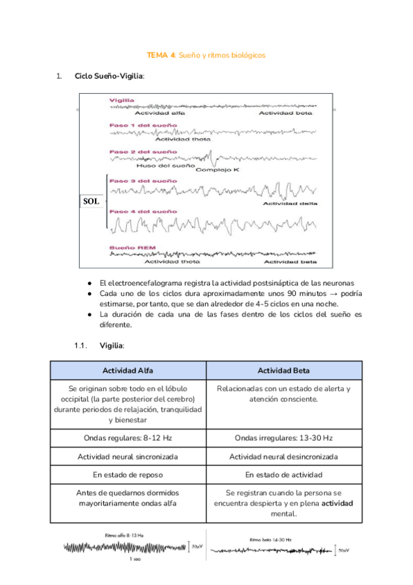Miniatura del documento TEMA-4-fisio.pdf
