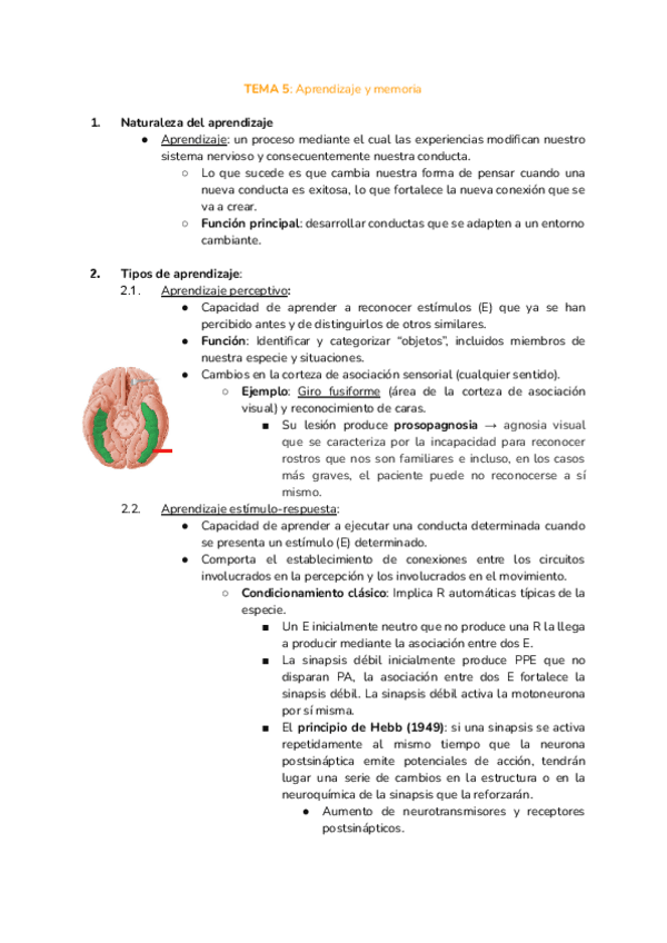 Miniatura del documento TEMA-5-fisio.pdf