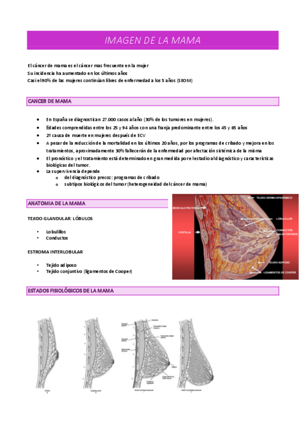 Miniatura del documento MAMOGRAFIA.pdf