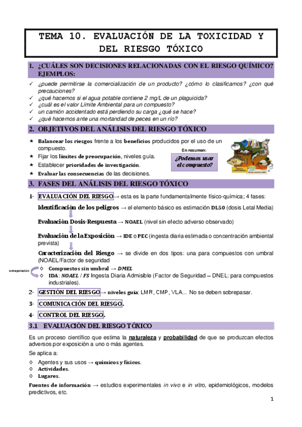 Miniatura del documento TEMA-10.pdf