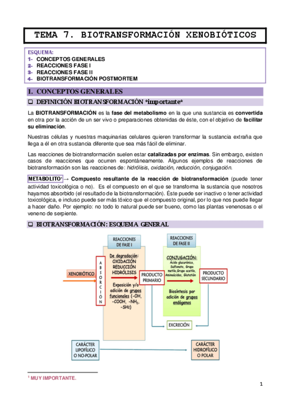 Miniatura del documento TEMA-7.pdf