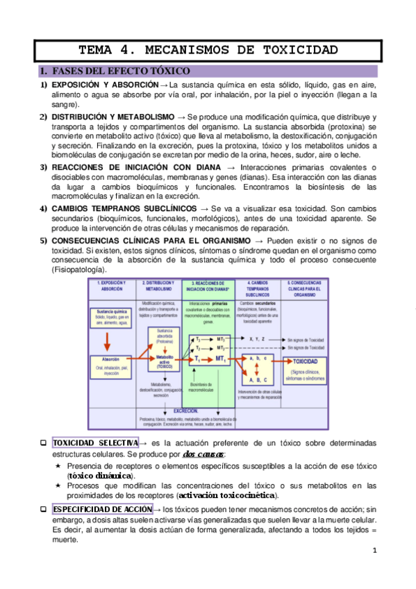 Miniatura del documento TEMA-4.pdf