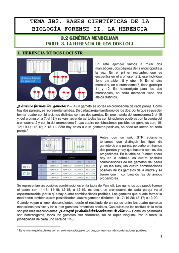 Miniatura del documento TEMA-3B2.pdf