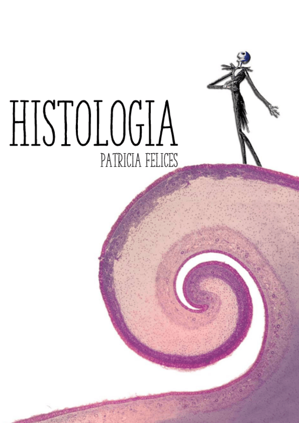 Miniatura del documento HISTOLOGIA-2o-cuatri.pdf