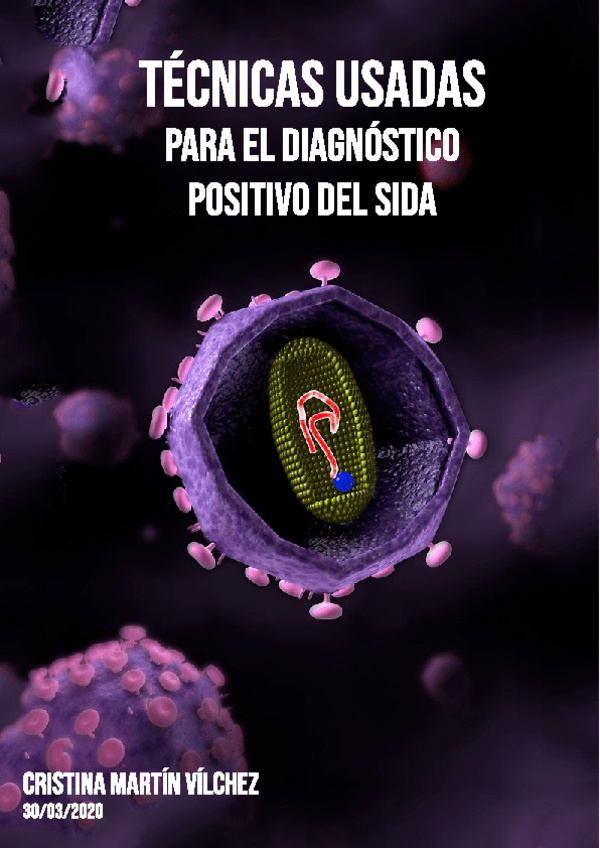 Miniatura del documento TECNICAS-USADAS-PARA-EL-DIAGNOSTICO-POSITIVO-DEL-SIDA1.pdf