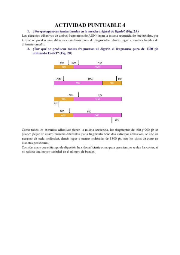 Miniatura del documento Actividad-4.pdf
