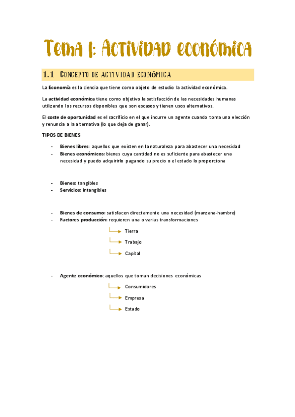 Miniatura del documento Tema-1-Actividad-economica.pdf