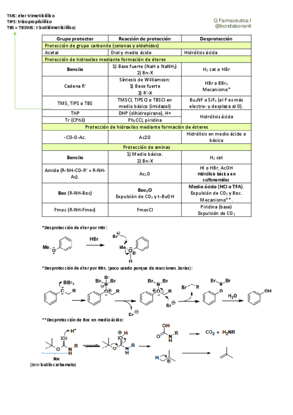 Miniatura del documento Grupos-protectores-tabla-resumen.pdf