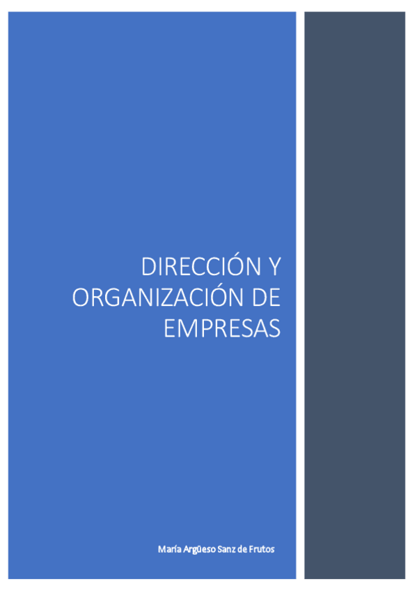 Miniatura del documento Apuntes-Direccion-y-Organizacion-de-Empresas.pdf