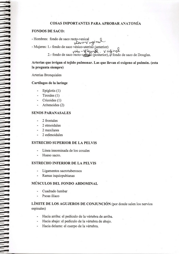 Miniatura del documento Cosas-importantesAnatomia.pdf