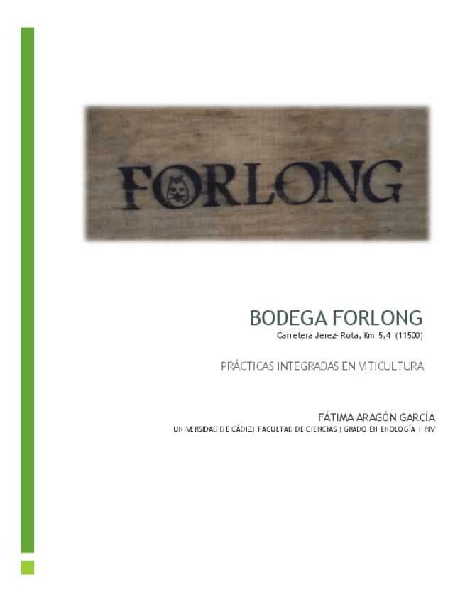 Miniatura del documento Fátima Aragón García- Bodega Forlong.pdf