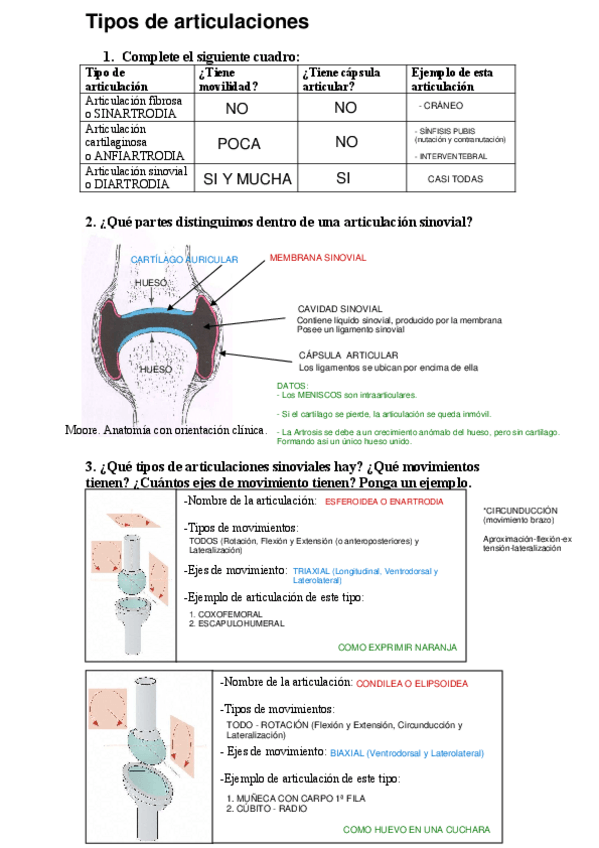 Miniatura del documento CORRECCION-FICHA.pdf