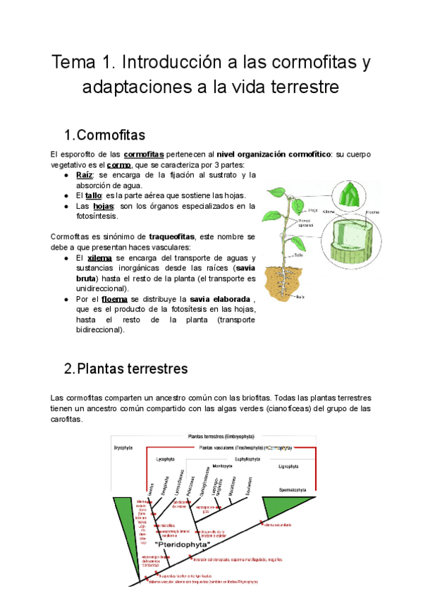 Miniatura del documento Tema-1.pdf