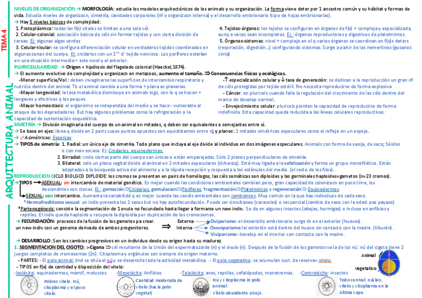 Miniatura del documento Tema-4-zoo.pdf