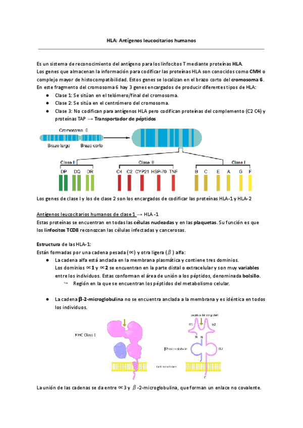 Miniatura del documento HLA.pdf