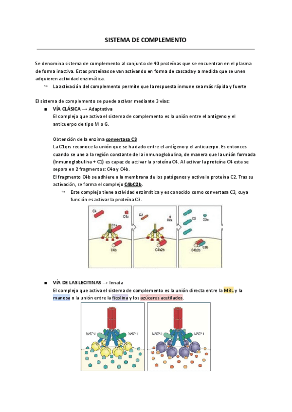 Miniatura del documento SISTEMA-DE-COMPLEMENTO.pdf
