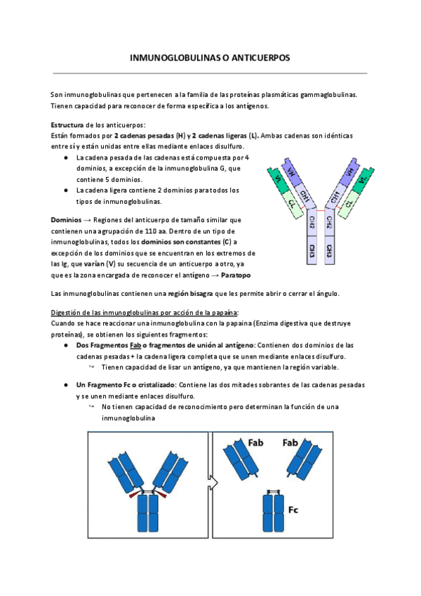 Miniatura del documento ANTIGENOS-E-INMUNOGENOS.pdf